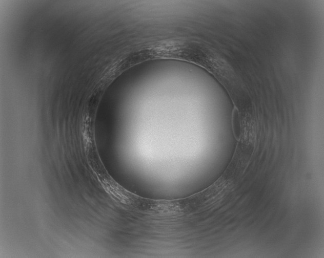 X0000052601346200507011146