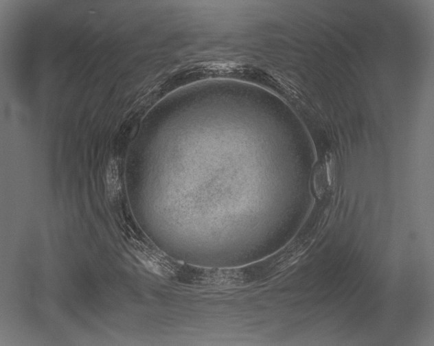 X0000052601347200507011146