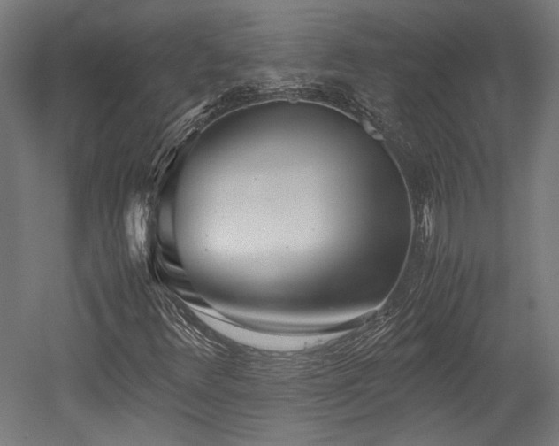X0000052601348200507011146