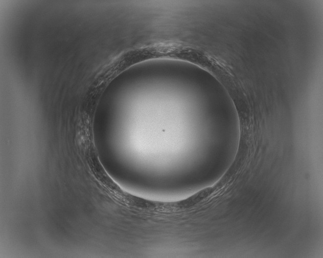 X0000052601349200507011146