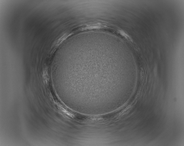 X0000052601353200507011146