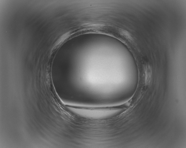 X0000052601354200507011146