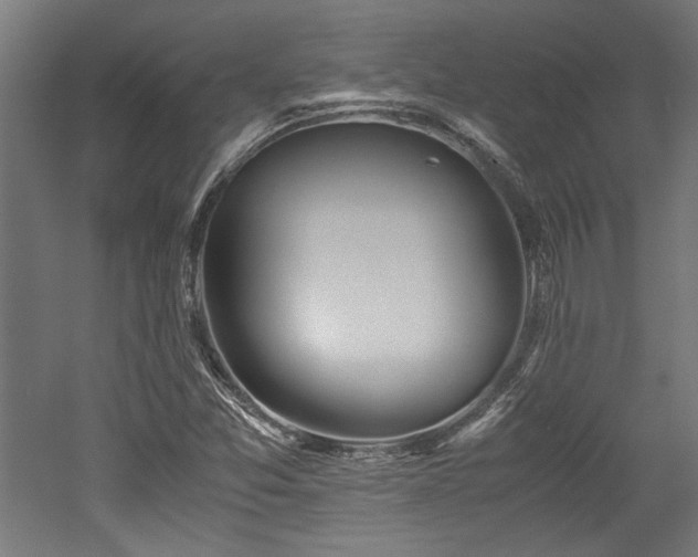 X0000052601357200507011146