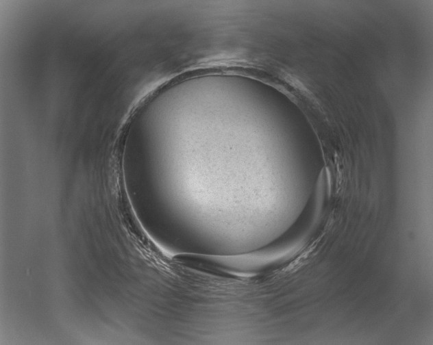X0000052601358200507011146