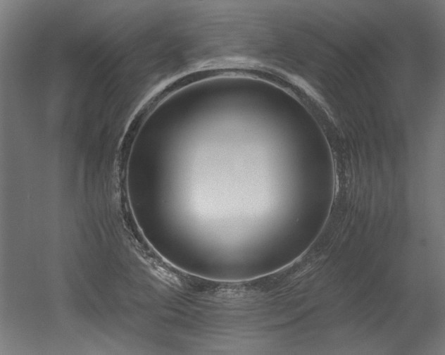 X0000052601364200507011145
