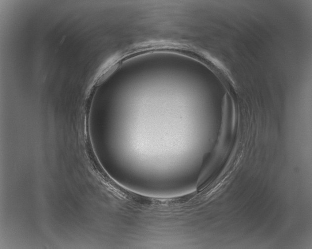 X0000052601365200507011145