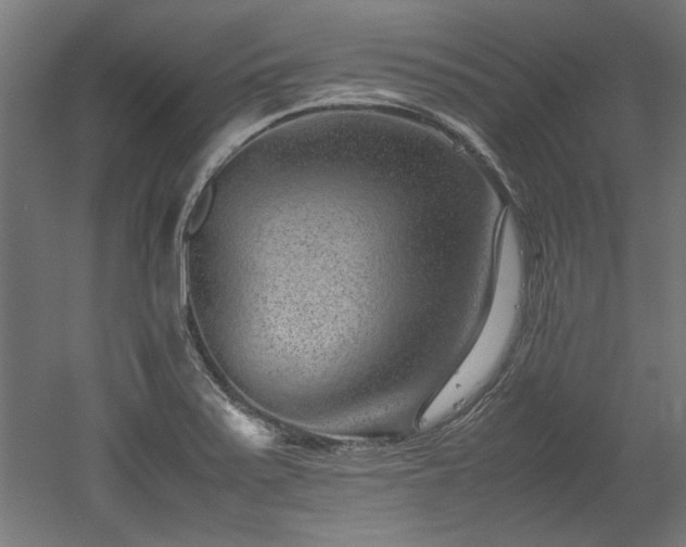 X0000052601371200507011145