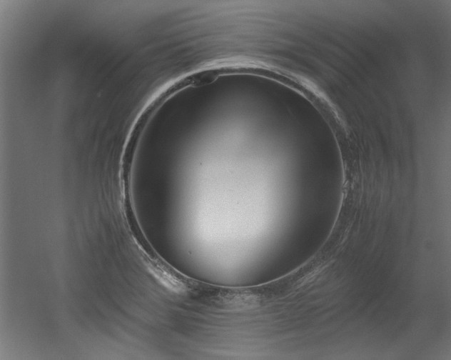 X0000052601372200507011145