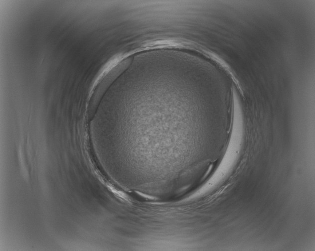 X0000052601373200507011145