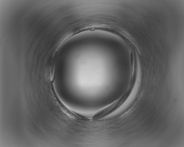 X0000052601377200507011145