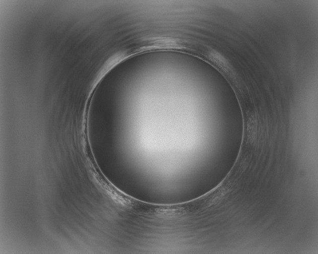 X0000052601378200507011145