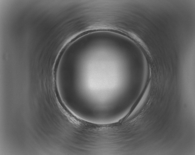 X0000052601380200507011145