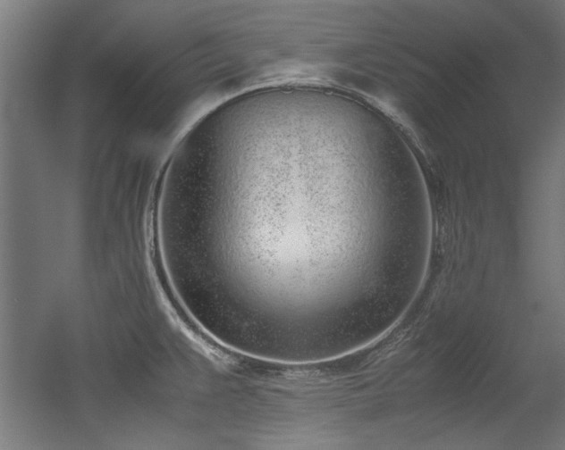 X0000052601383200507011145