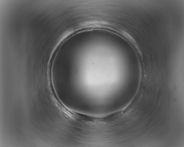 X0000052601384200507011145
