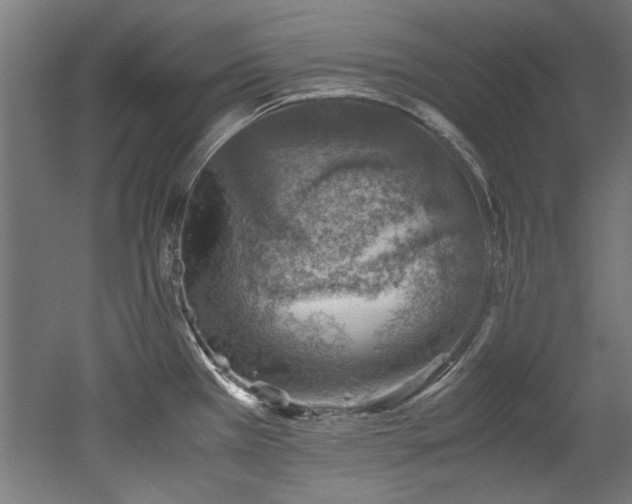X0000052601385200507011145