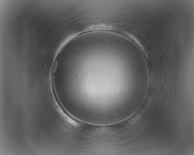 X0000052601387200507011145