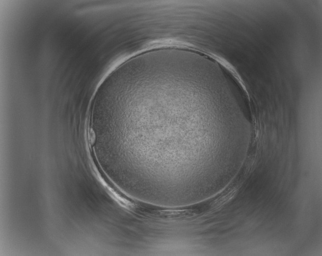X0000052601391200507011145
