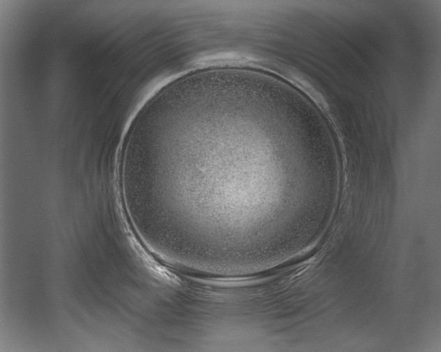 X0000052601392200507011145