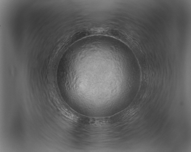 X0000052601393200507011144
