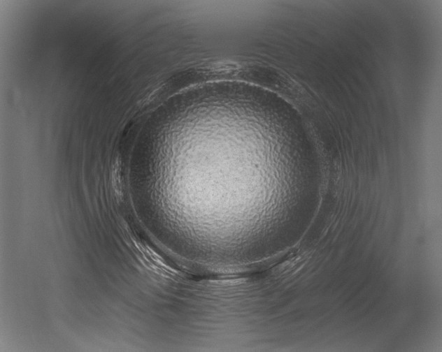 X0000052601394200507011144