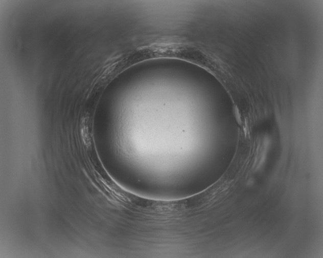 X0000052601396200507011144