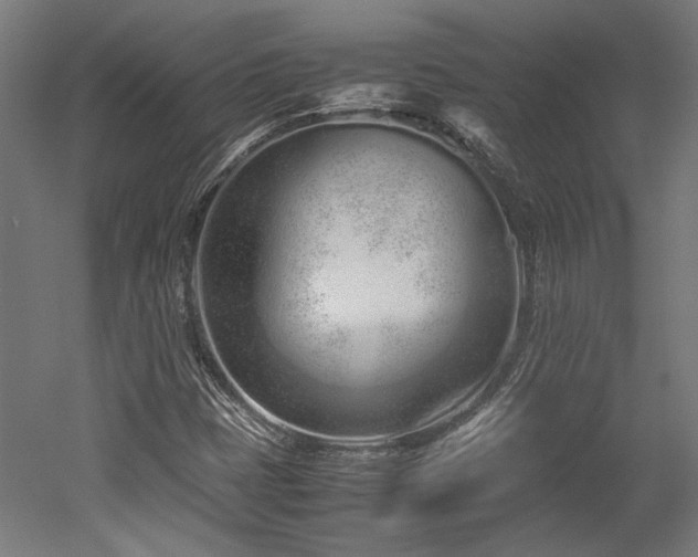 X0000052601401200507011144