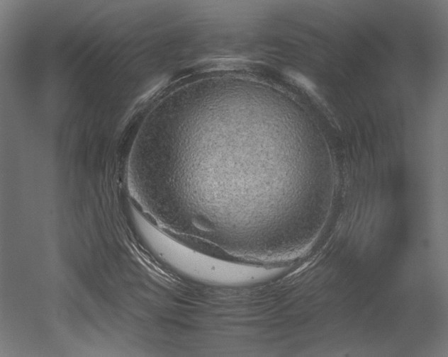 X0000052601403200507011144