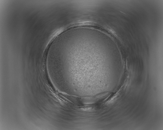 X0000052601405200507011144