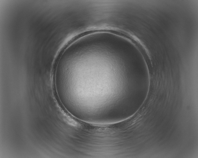 X0000052601416200507011145
