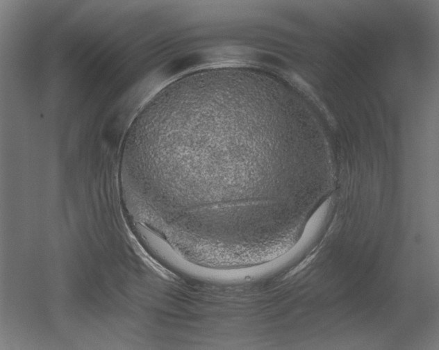 X0000052601417200507011145