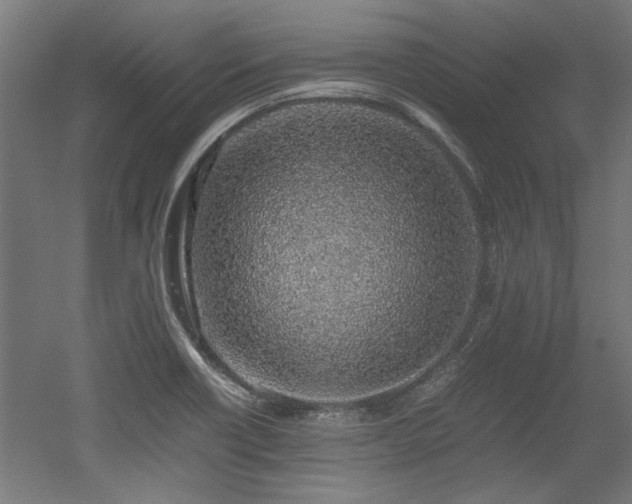 X0000052601418200507011145
