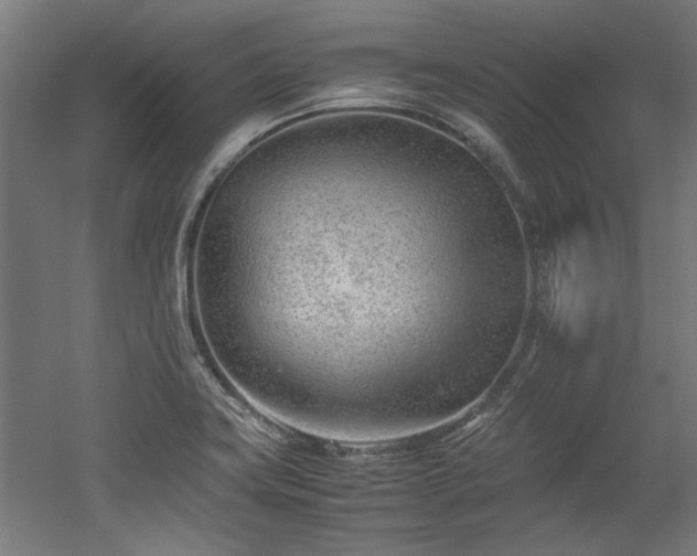 X0000052601419200507011145