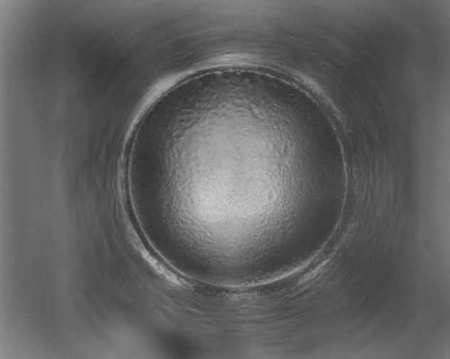 X0000052601421200507011145