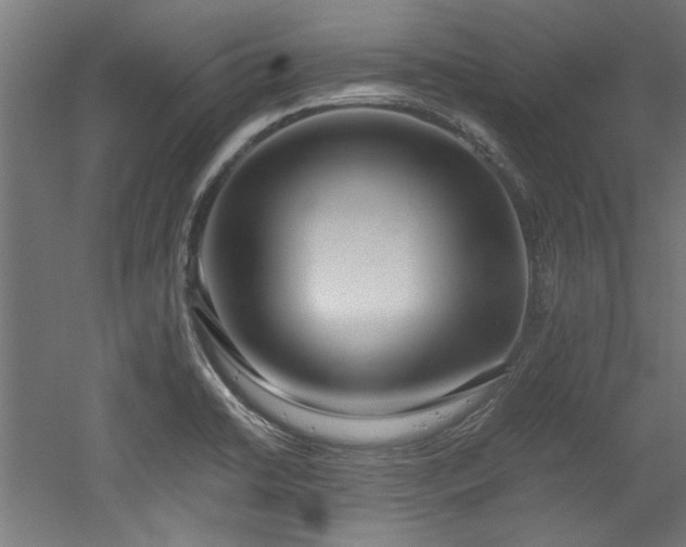 X0000052601422200507011145