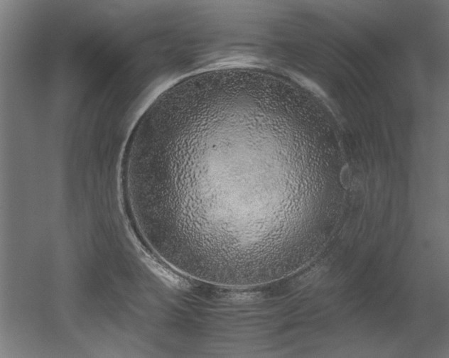 X0000052601423200507011145