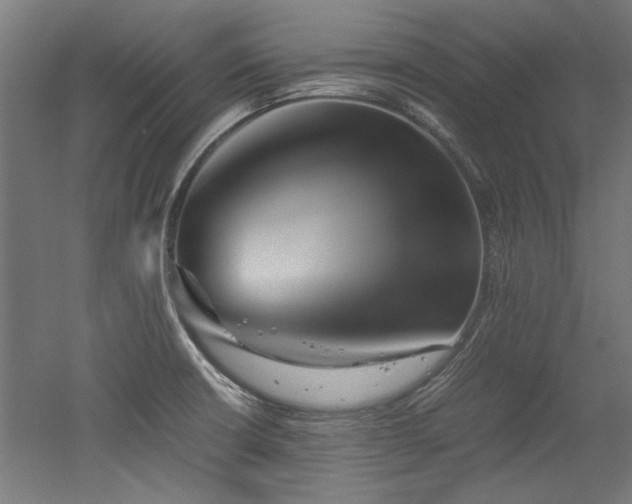 X0000052601426200507011145
