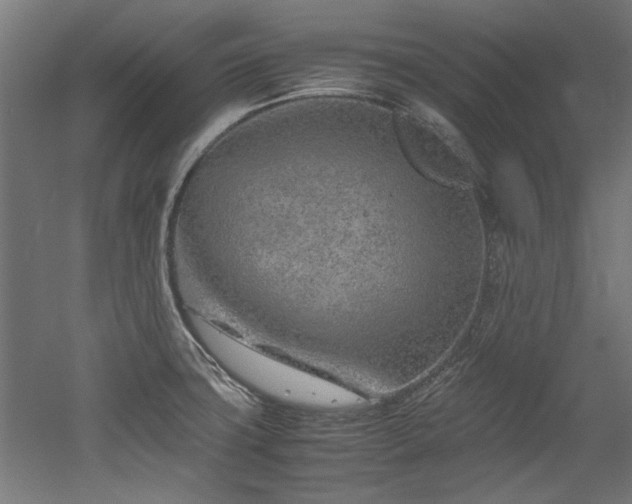 X0000052601427200507011145