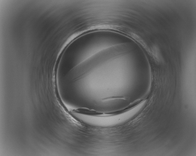 X0000052601428200507011145