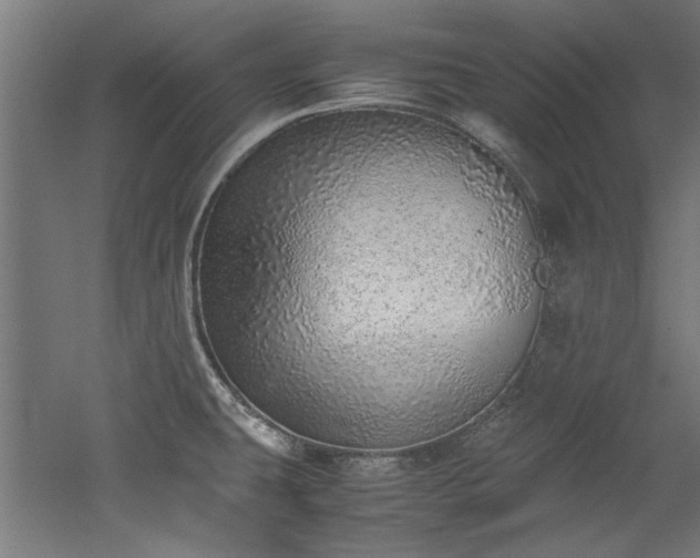 X0000052601431200507011145