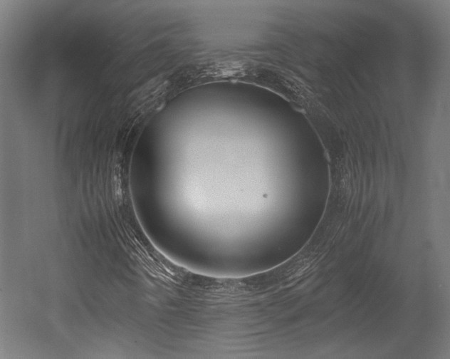 X0000052601442200507011144