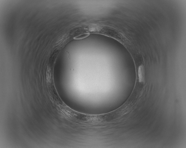 X0000052601443200507011144