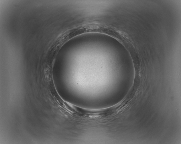 X0000052601445200507011144