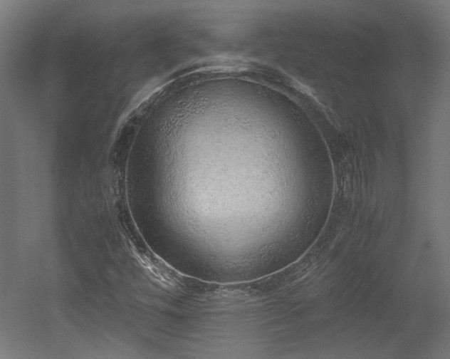 X0000052601448200507011144