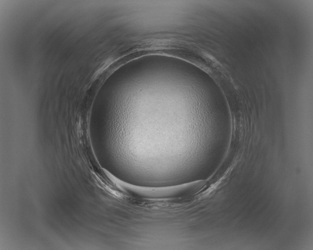 X0000052601449200507011144