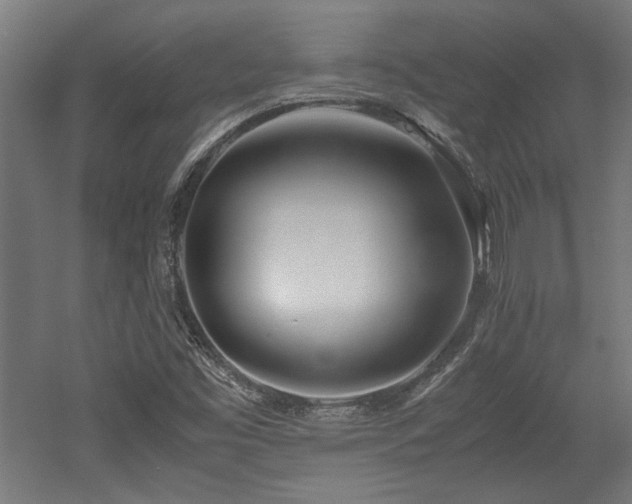 X0000052601453200507011144