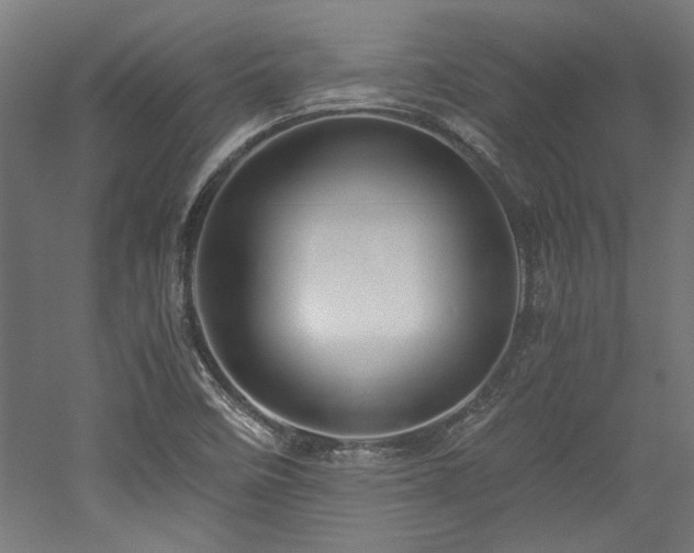 X0000052601458200507011144