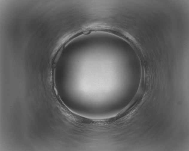 X0000052601461200507011144