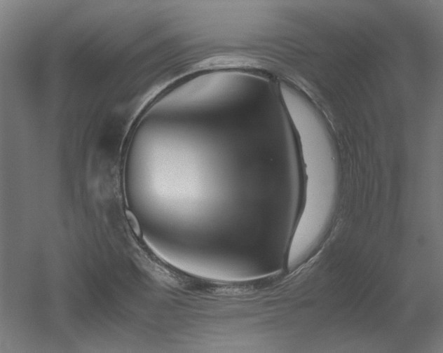 X0000052601465200507011144