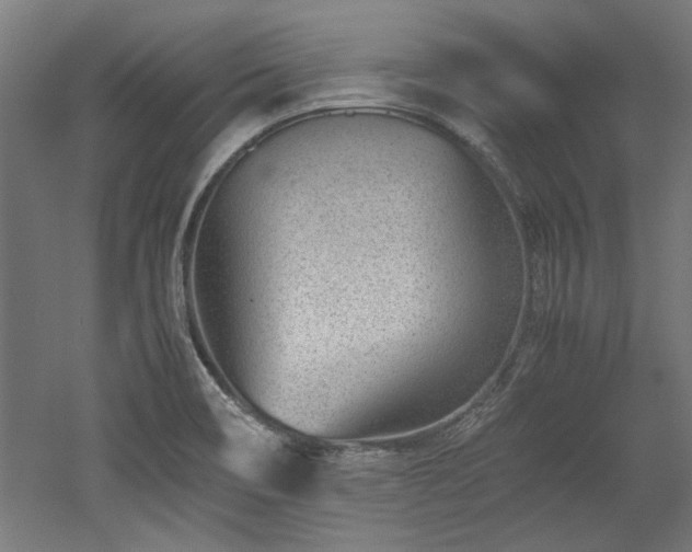 X0000052601466200507011144