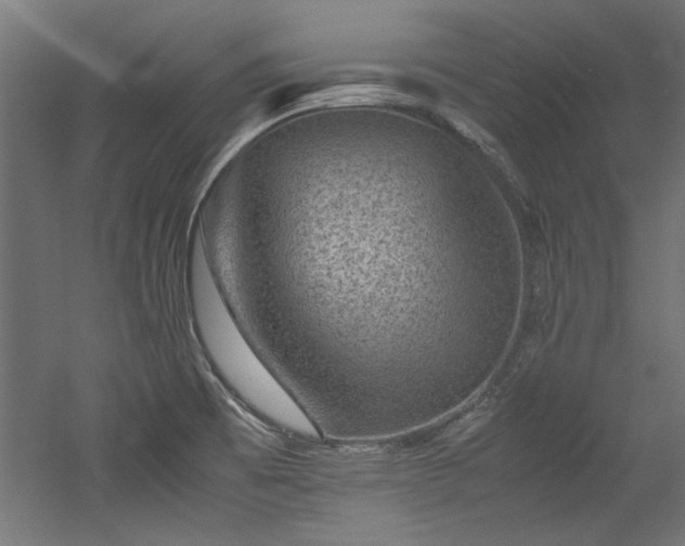X0000052601473200507011144